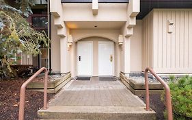 Snowberry 20 By Outpost Whistler